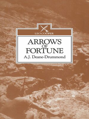 cover image of Arrows of Fortune